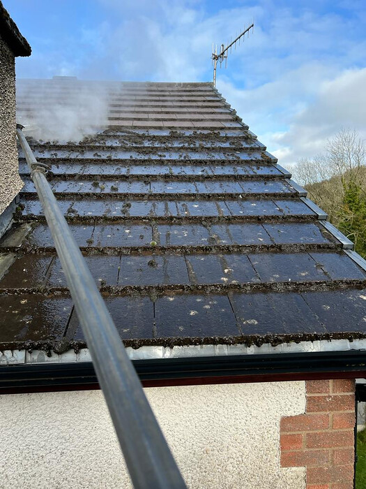 Steaming off most from roof