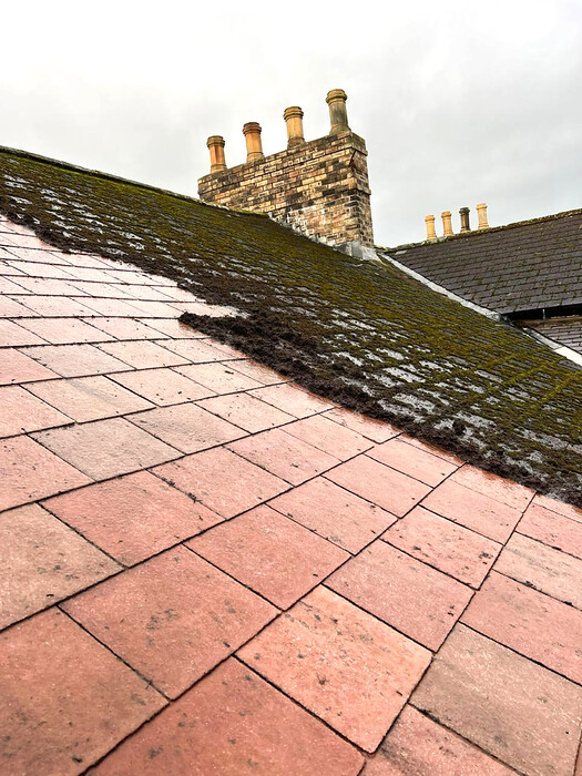 Before and After Roof Cleaning