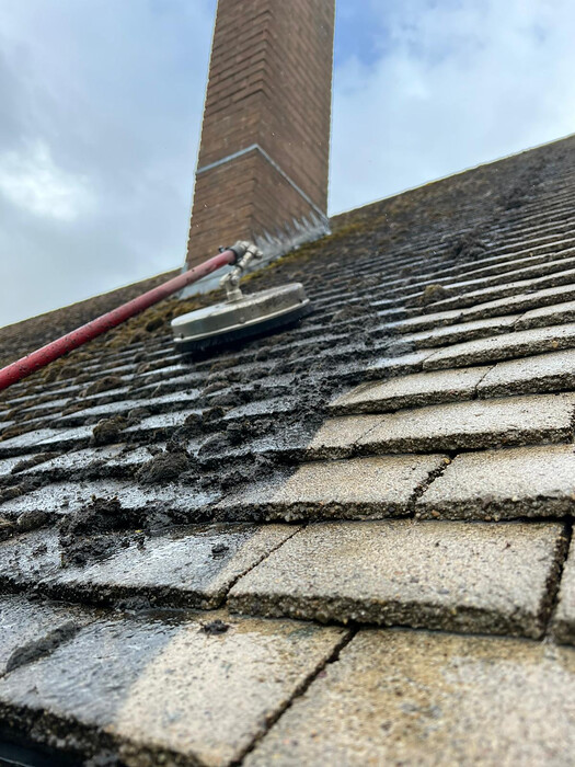 Moss Removal on Tilled Roof