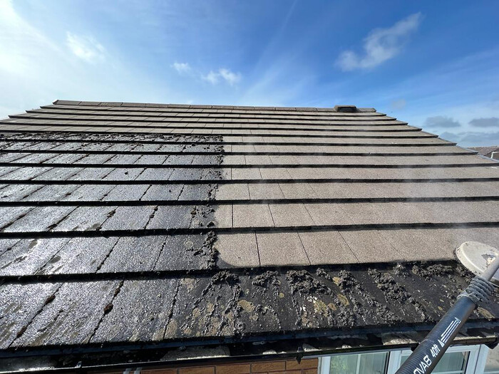 Slate Roof Before and After Cleaning