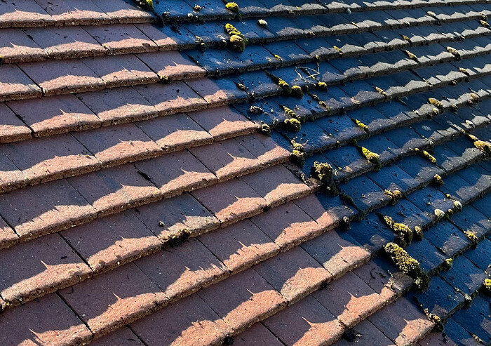 Tiled Roof Before and After Cleaning